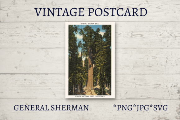 Vintage Postcard National Parks Volume 5 Review