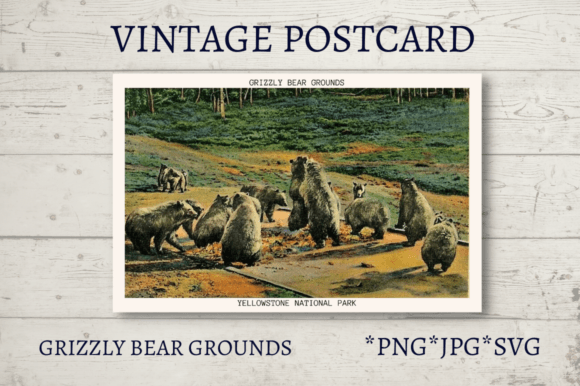 Vintage Postcard National Parks Volume 6 Review